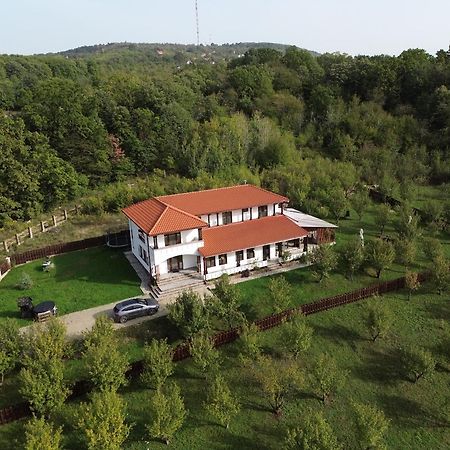 Pensiunea Emelys, Iasi Barnova Buitenkant foto