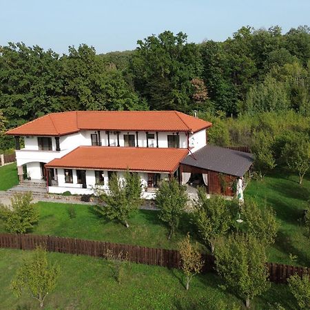 Pensiunea Emelys, Iasi Barnova Buitenkant foto