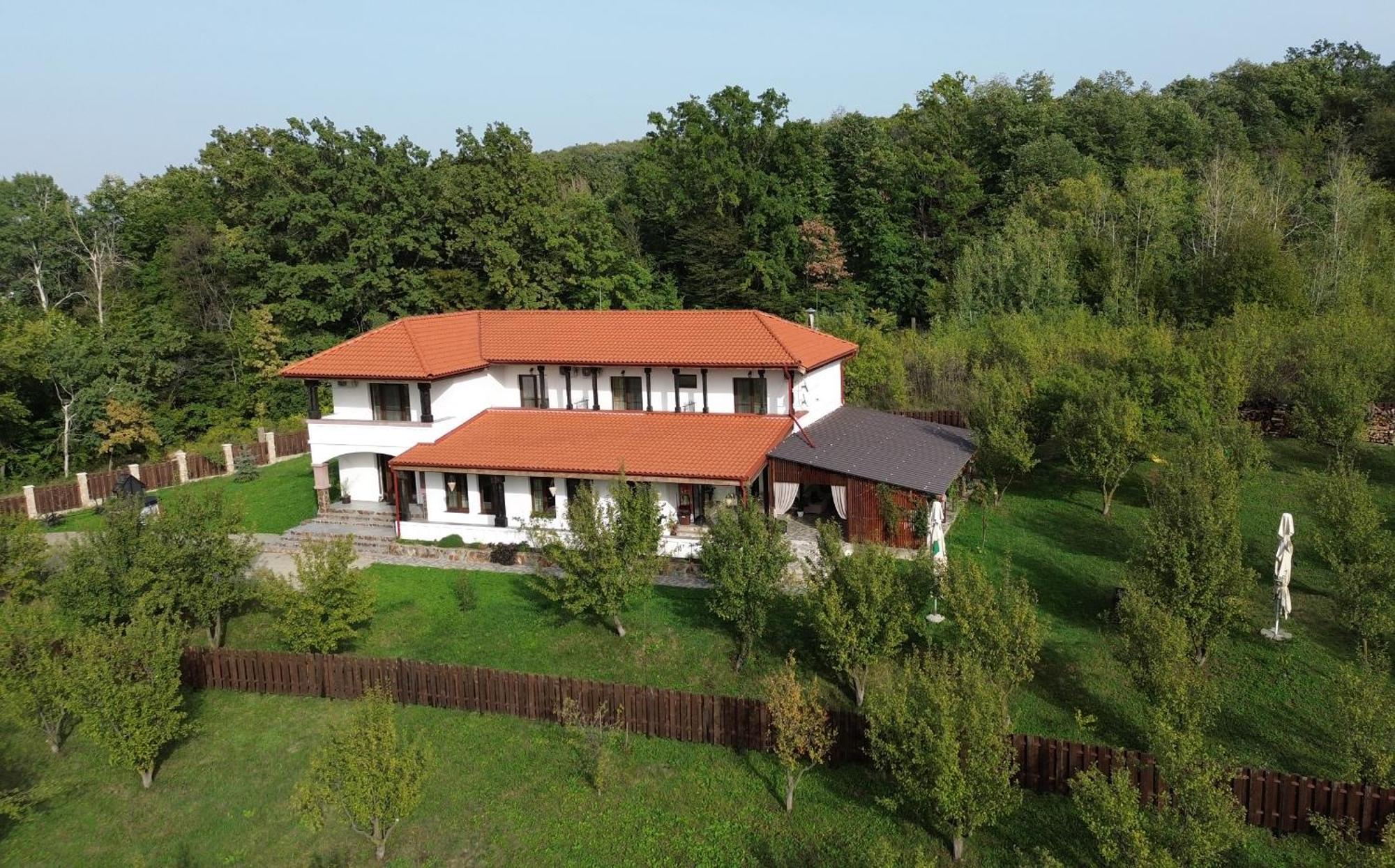 Pensiunea Emelys, Iasi Barnova Buitenkant foto