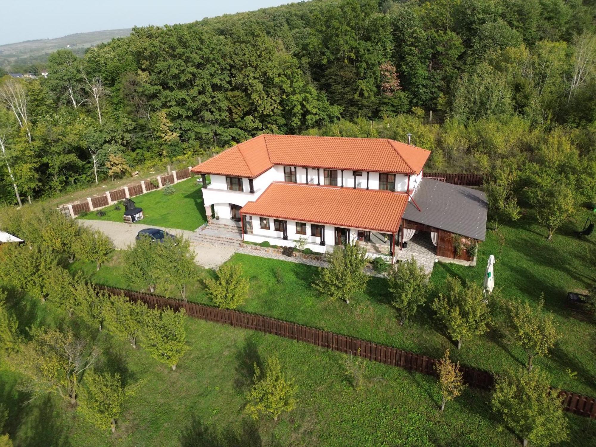 Pensiunea Emelys, Iasi Barnova Buitenkant foto
