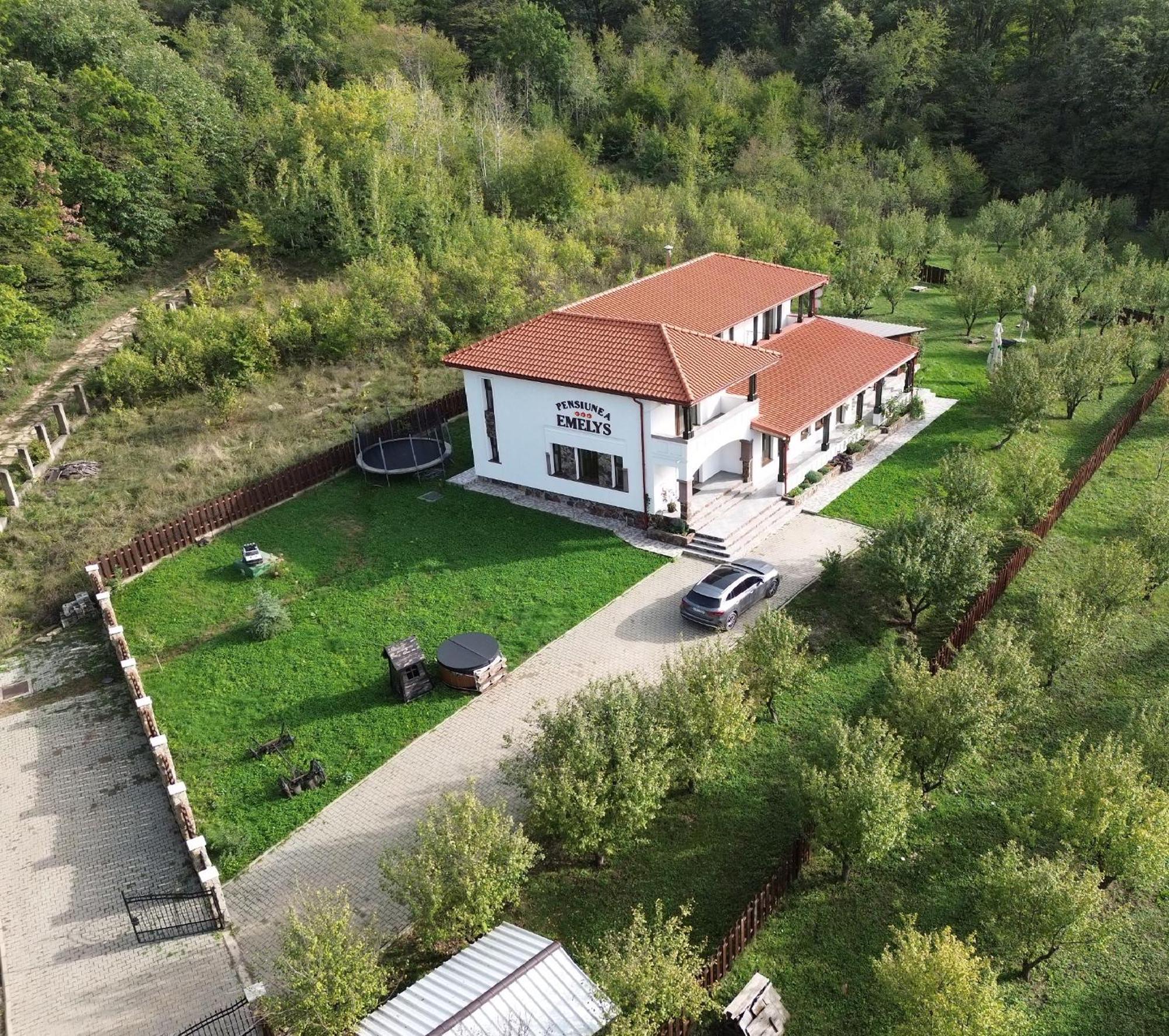Pensiunea Emelys, Iasi Barnova Buitenkant foto