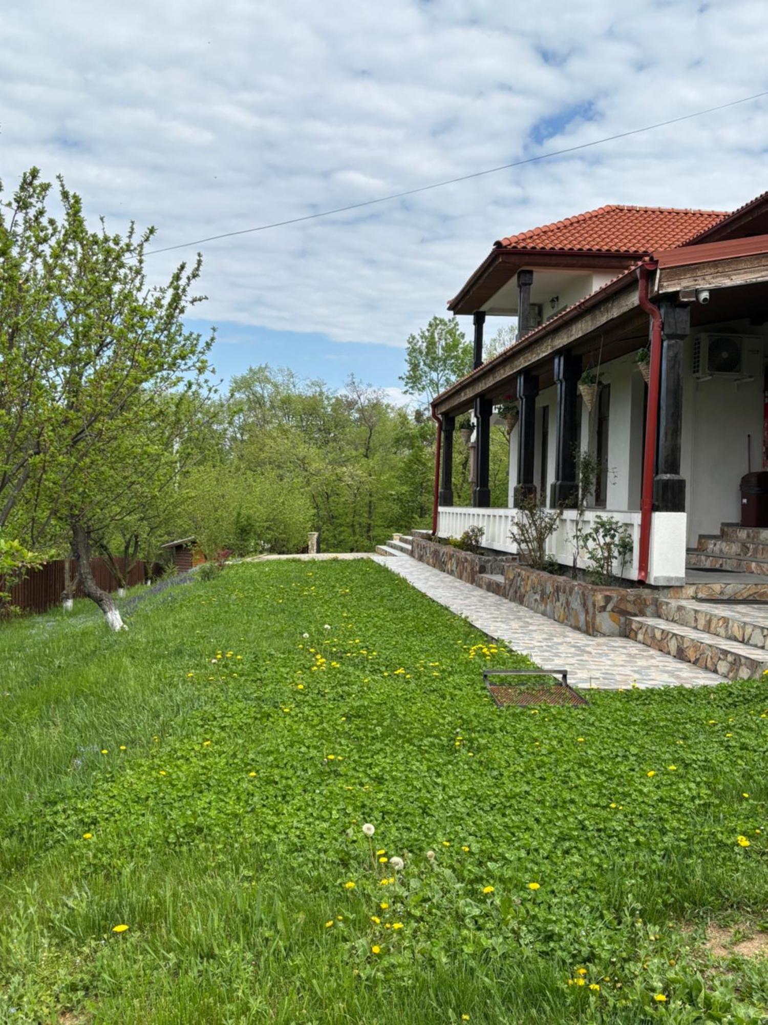 Pensiunea Emelys, Iasi Barnova Buitenkant foto