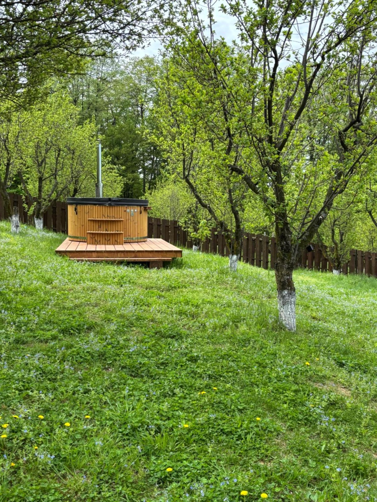 Pensiunea Emelys, Iasi Barnova Buitenkant foto