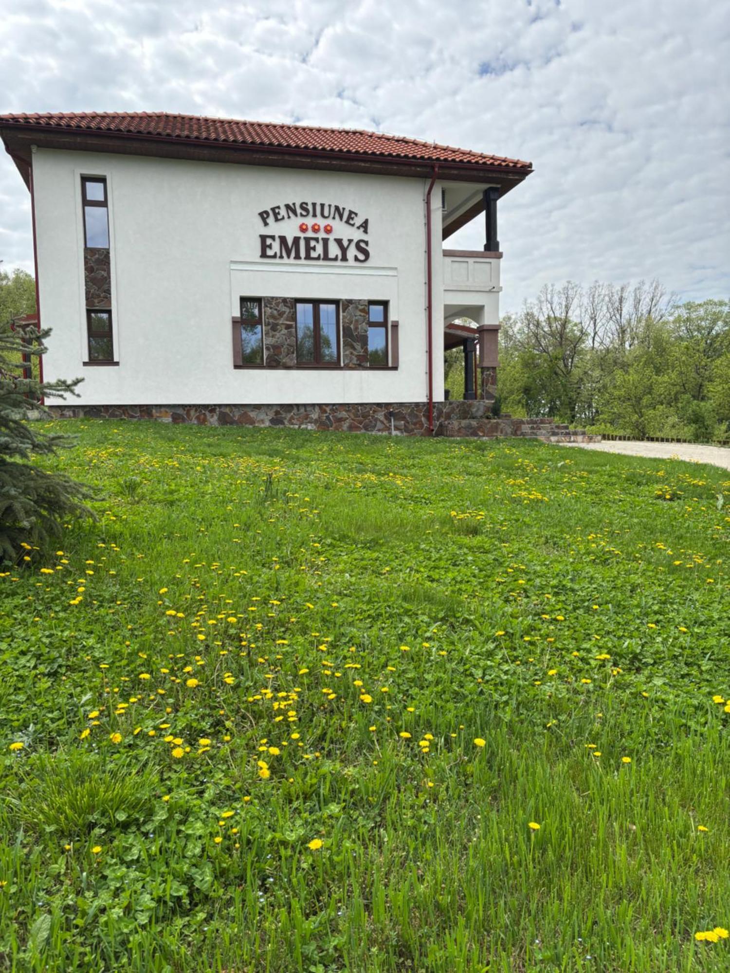 Pensiunea Emelys, Iasi Barnova Buitenkant foto